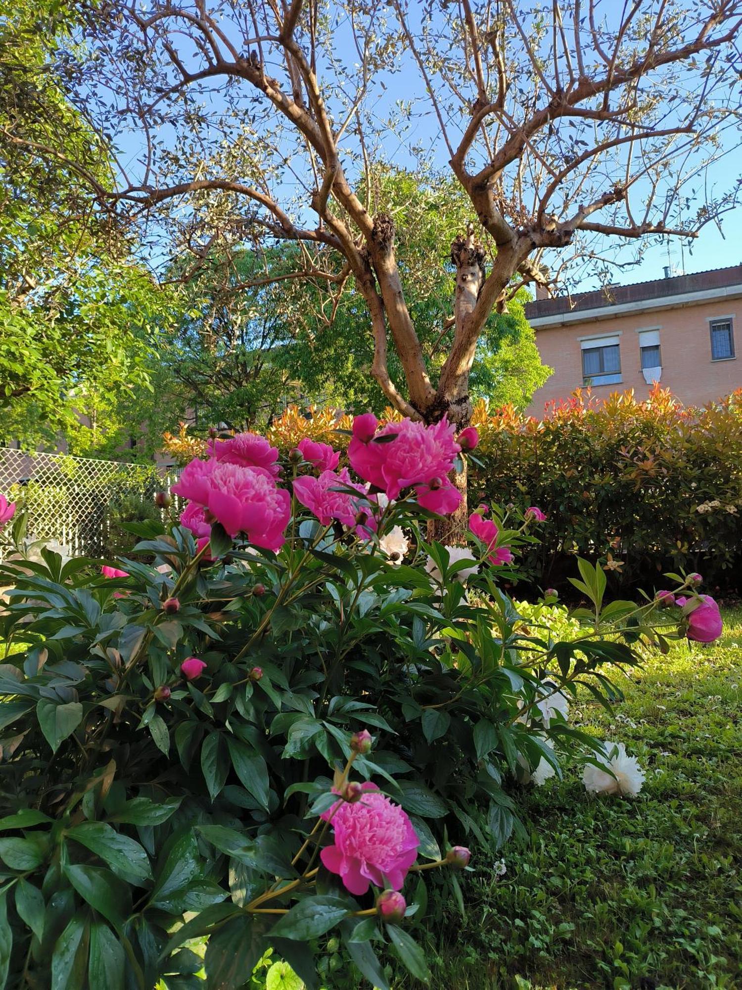 Carla' S House Apartment Anzola dell'Emilia Exterior photo